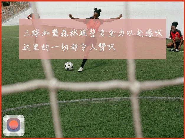 三球加盟森林狼誓言全力以赴感叹这里的一切都令人赞叹