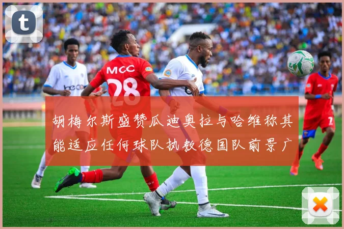 胡梅尔斯盛赞瓜迪奥拉与哈维称其能适应任何球队执教德国队前景广阔