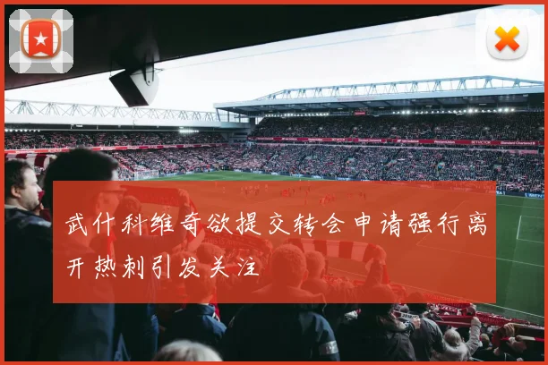 武什科维奇欲提交转会申请强行离开热刺引发关注