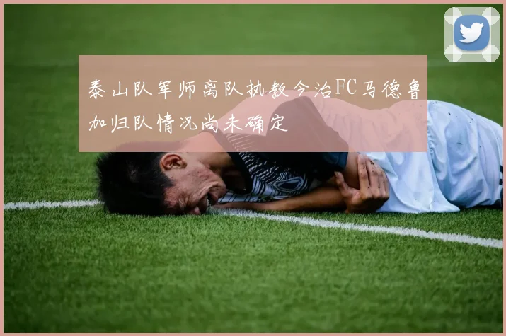 泰山队军师离队执教今治FC马德鲁加归队情况尚未确定